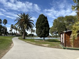 180-08-01-2026 IMG_3383